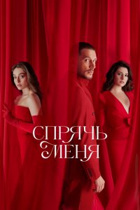 Спрячь меня (1 сезон)