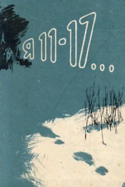 Я-11-17 (1 сезон)